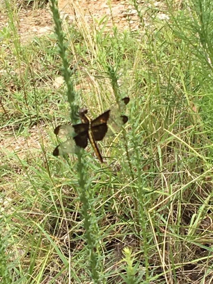 Fishers Of Men Ranch Home Marble Falls Buitenkant foto
